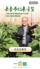 博愛縣委書記一畝田直播首秀，為家鄉蔬菜傾情代言