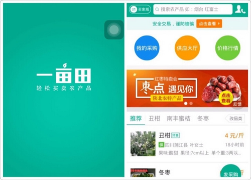 一畝田重構 深耕數字農業，重塑網絡生態新篇章